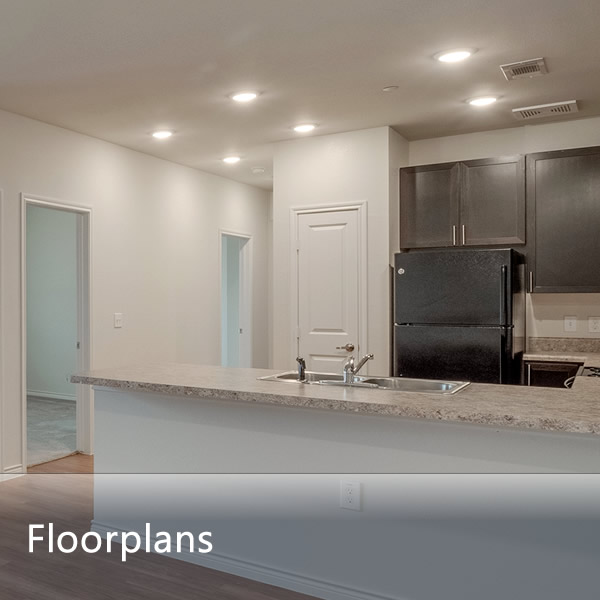 Spacious Floor Plans